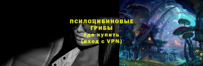 kraken маркетплейс  цена наркотик  Бокситогорск  Псилоцибиновые грибы Psilocybe 